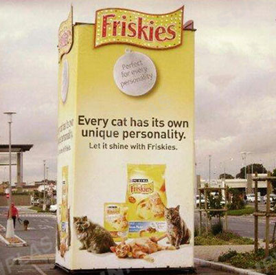 ABS Corona Treated Sheet